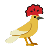 Royal Flycatcher