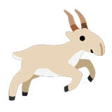 Saiga Antelope