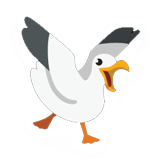 Seagull