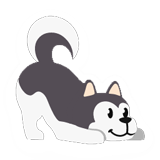 Siberian Husky