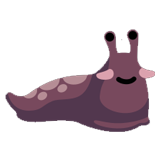 Slug