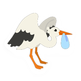 Stork