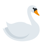 Swan