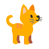 Tabby Cat