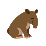 Tapir