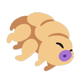 Tardigrade