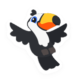 Toucan