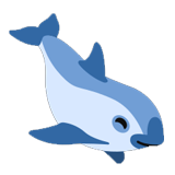 Vaquita