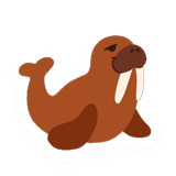 Walrus