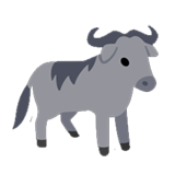 Wildebeest