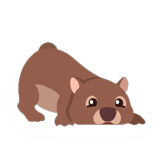 Wombat